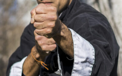 Artes marciales y autocontrol: cómo el Kenpo Karate ayuda a gestionar la ira, el estrés y la impulsividad